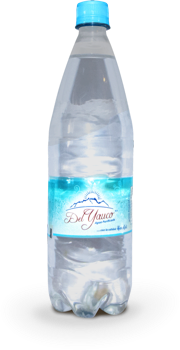 Del yauco PET no retornable 1l